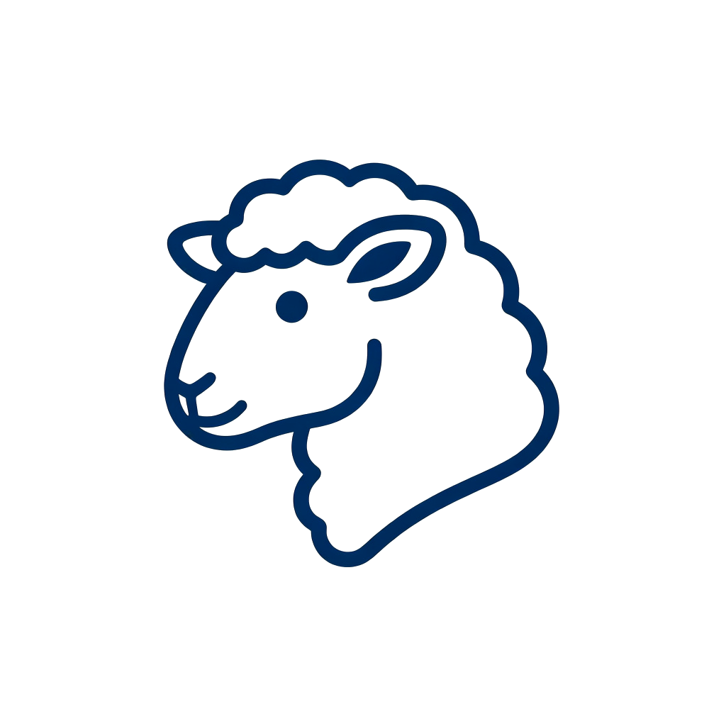 Sheep5的博客